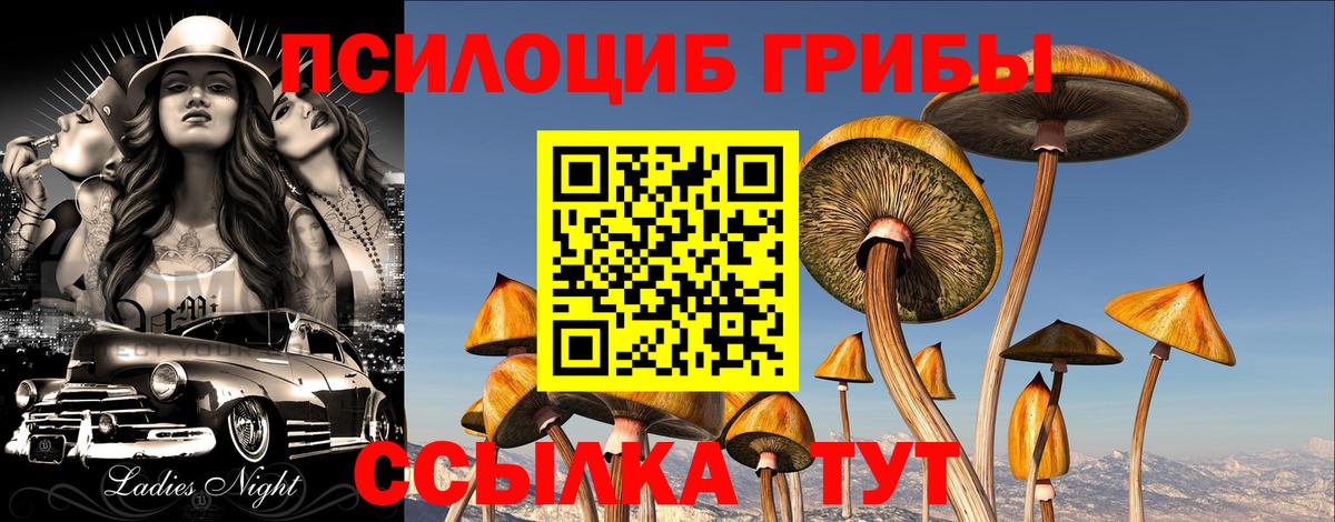 Галлюциногенные грибы мухоморы Нижний Новгород