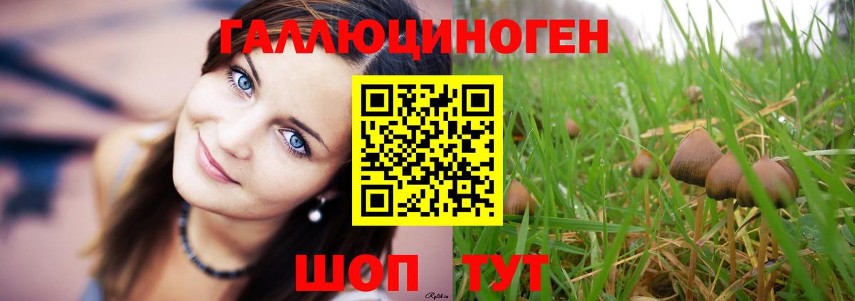 Псилоцибиновые грибы прущие грибы  Вход с VPN  Нижний Новгород  даркнет сайт  Псилоцибиновые грибы Psilocybe 